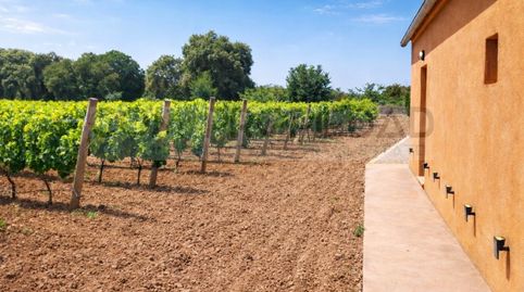 Foto 2 de Casa o chalet en venta en Costitx, Illes Balears