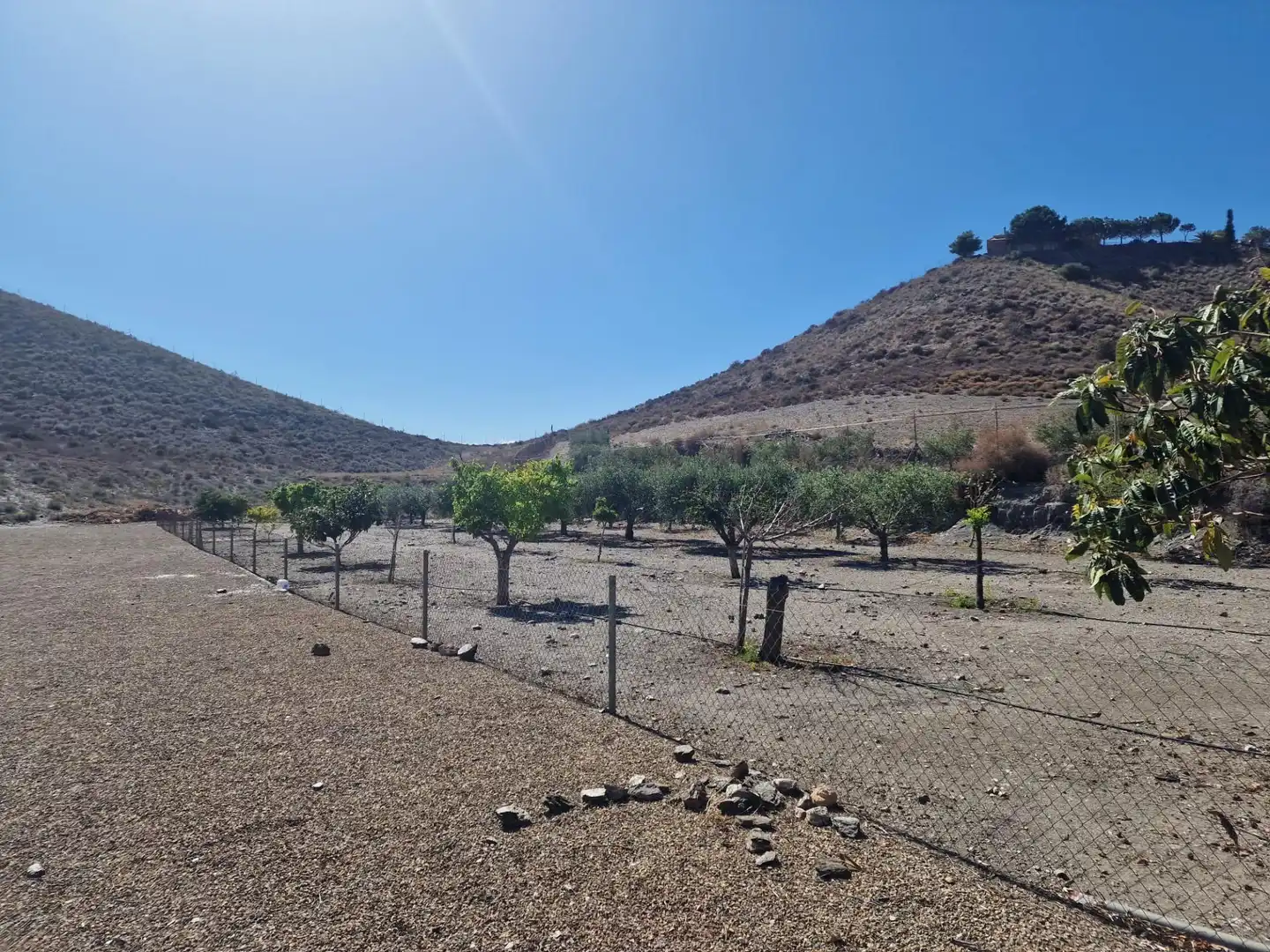 Casa o xalet en venda a Tébar - Los Arejos