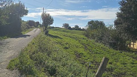 Consultoría Inmobiliaria Urdina VENDE Finca Rustica en Arnuero  Cantabria, immagine 3