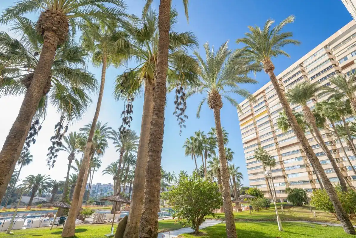 Vista exterior de Piso en venta en El Campello con Calefacción, Jardín privado y Terraza