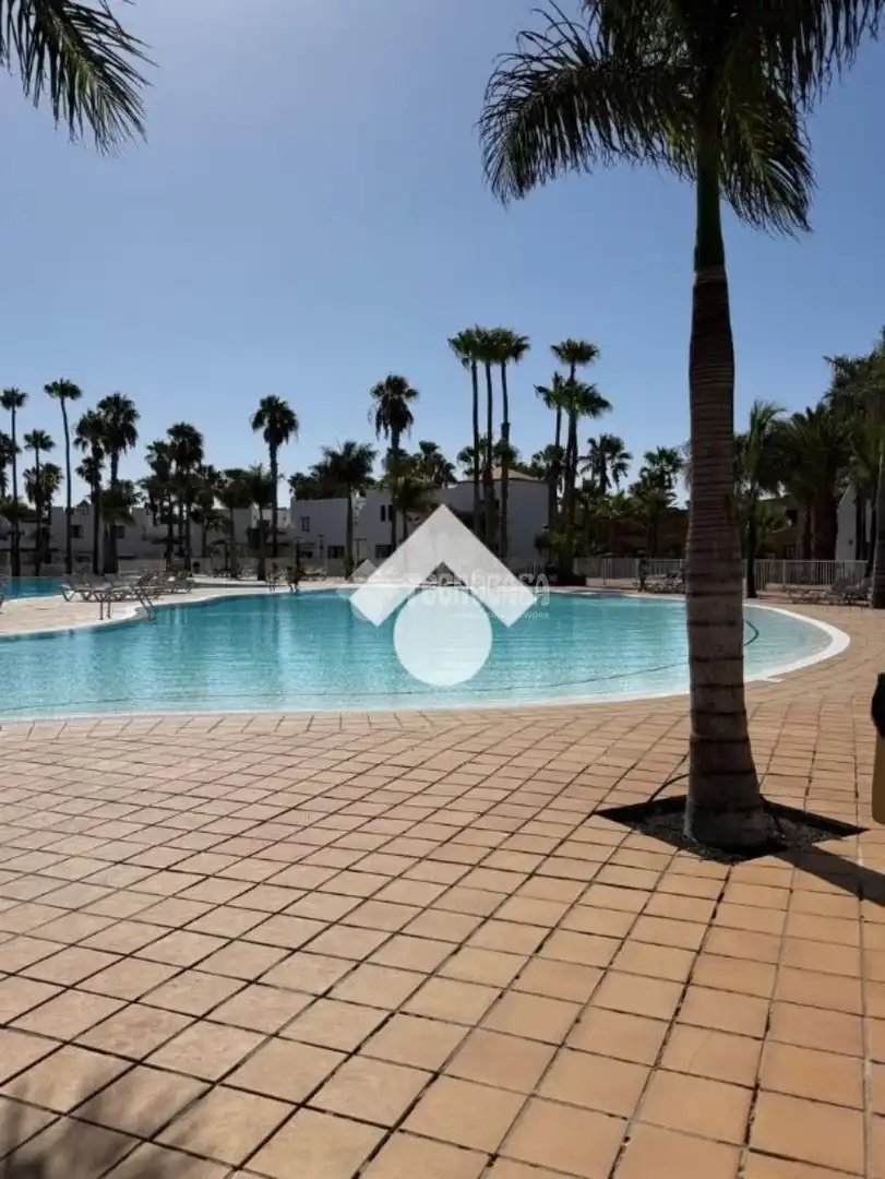 Swimming pool of Flat for rent in Corralejo