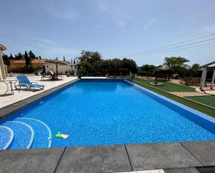 Swimming pool of Apartment to rent in Elche / Elx  with Air Conditioner, Private garden and Terrace