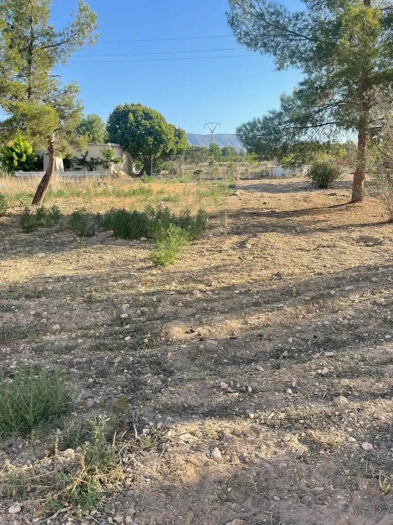 Wohnbaugrundstück zum Verkauf in Pinoso - POLIGONO 7 PARCELA 85, imagen 10