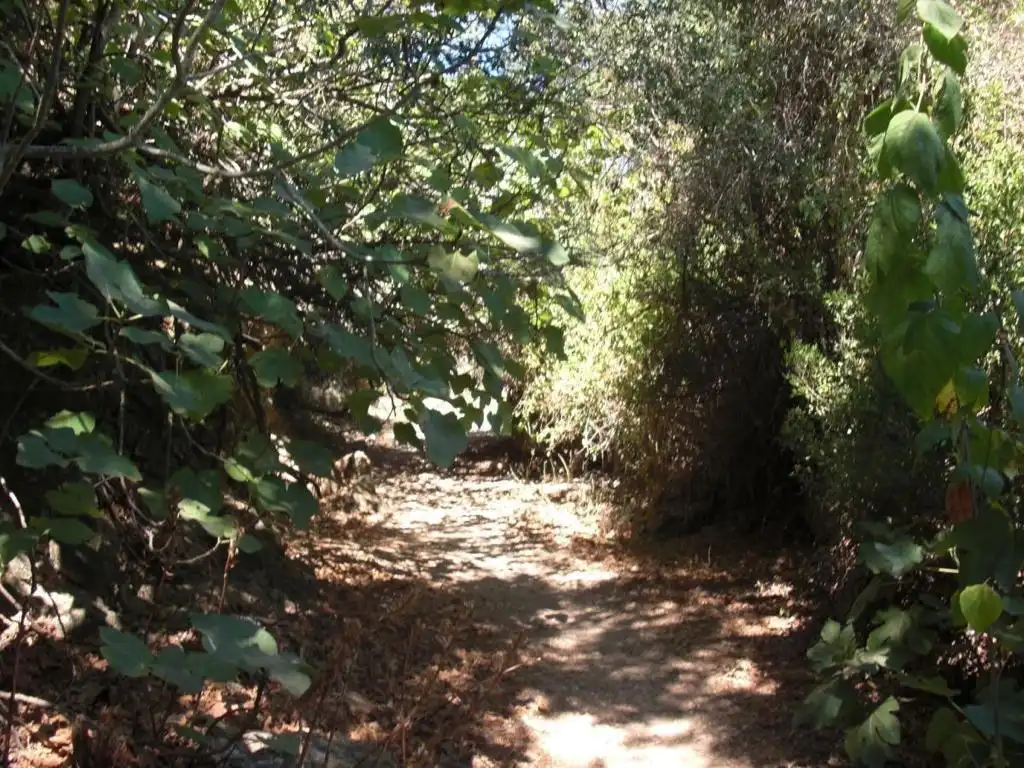 Terreni e lotti in vendita a Vejer, imagen 3