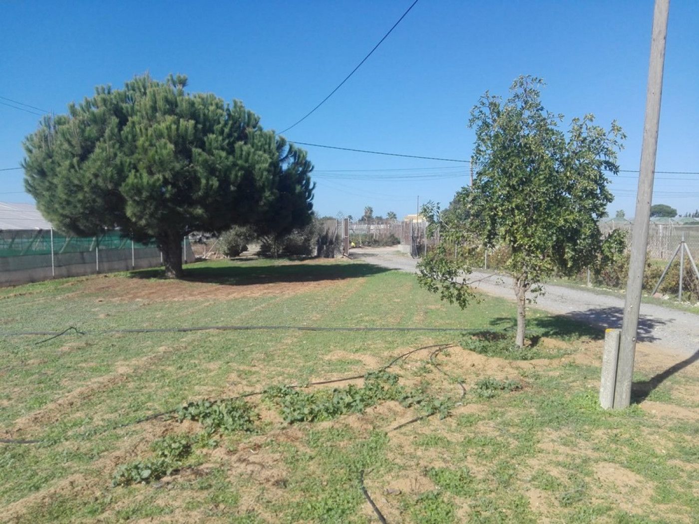 Country house for sale in Sanlúcar de Barrameda