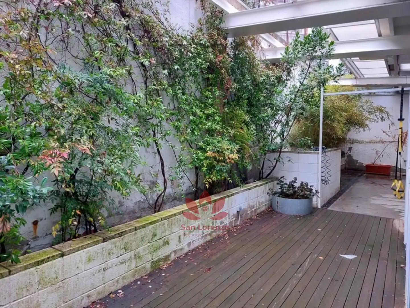 Jardín de Oficina de alquiler en Madrid