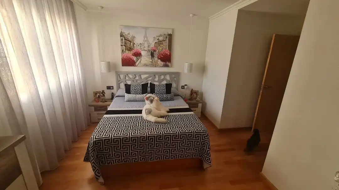 Casa a schiera con piscina in vendita a Carrer Josefina Manresa, imagen 23