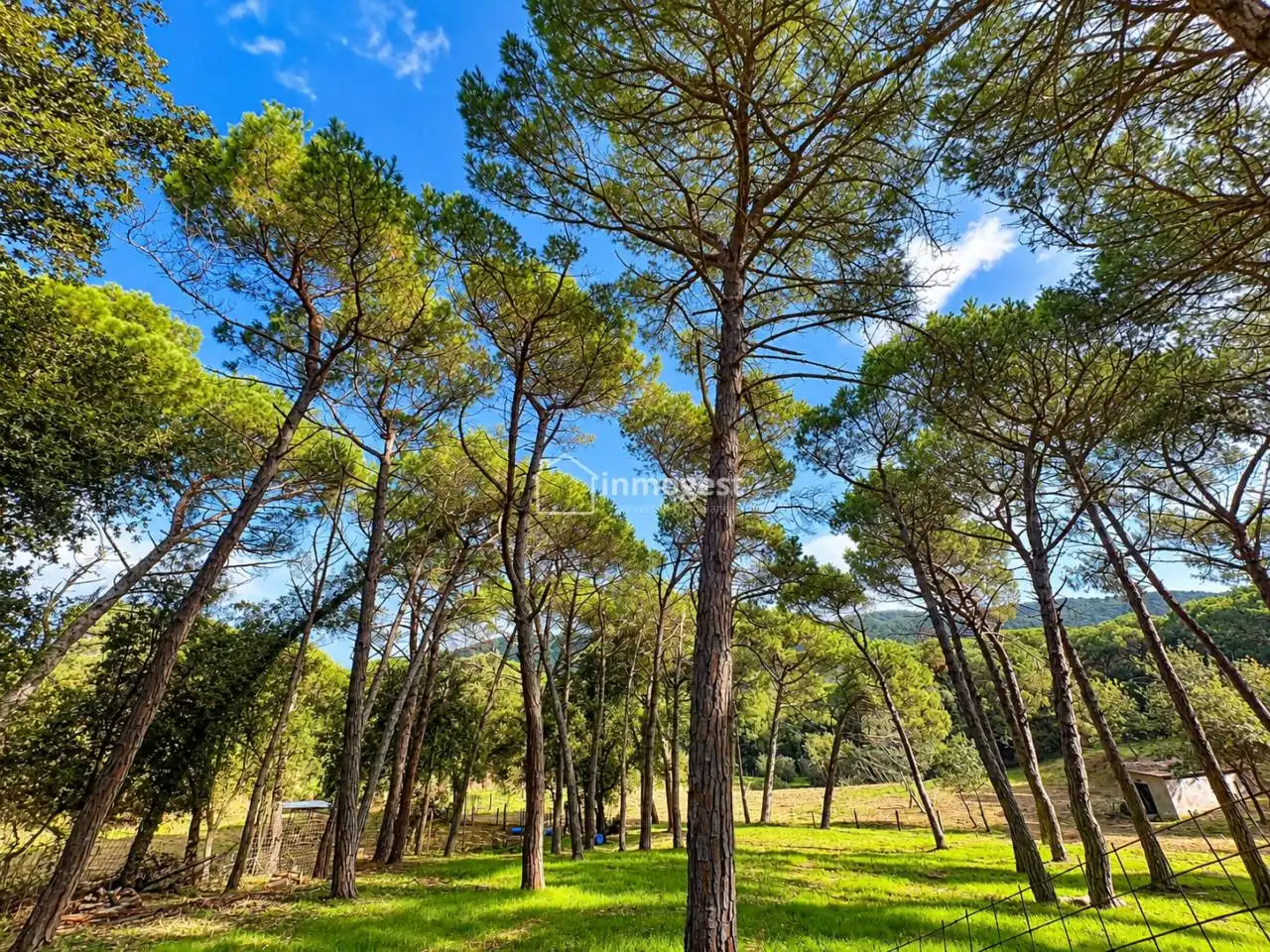 Casa o xalet en venda en Cassà de la Selva amb Calefacció, Jardí privat i Terrassa