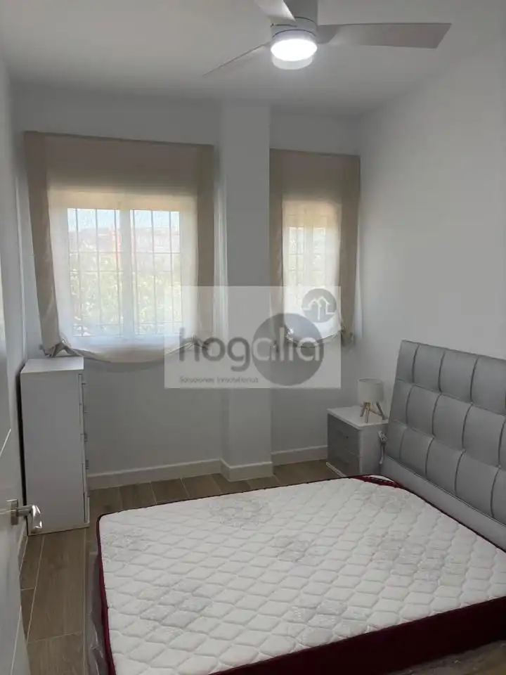 Ground floor for rent in Triana Casco Antiguo