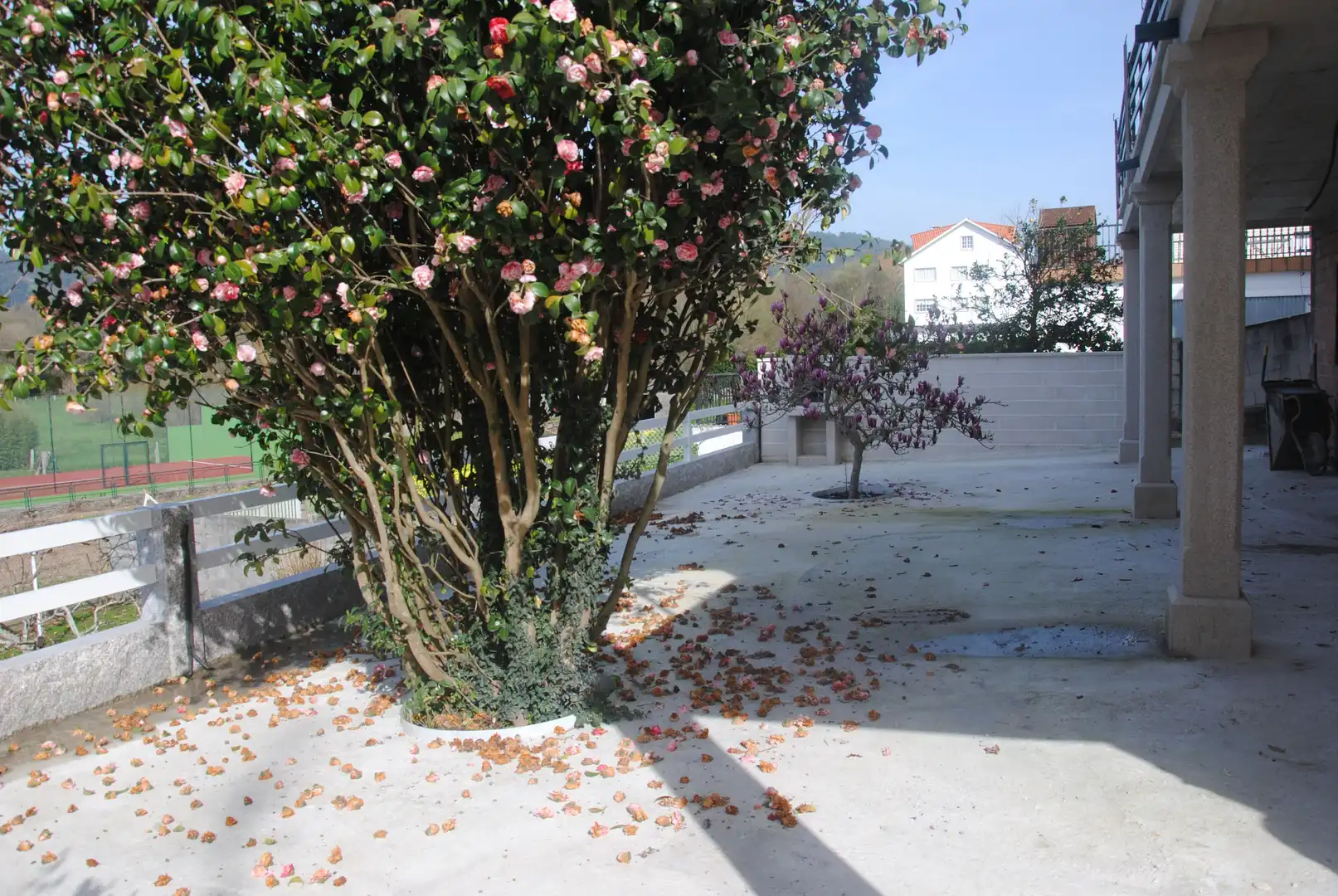Garden of Houses for rent in Sanxenxo  with Private garden, Parquet flooring and Terrace