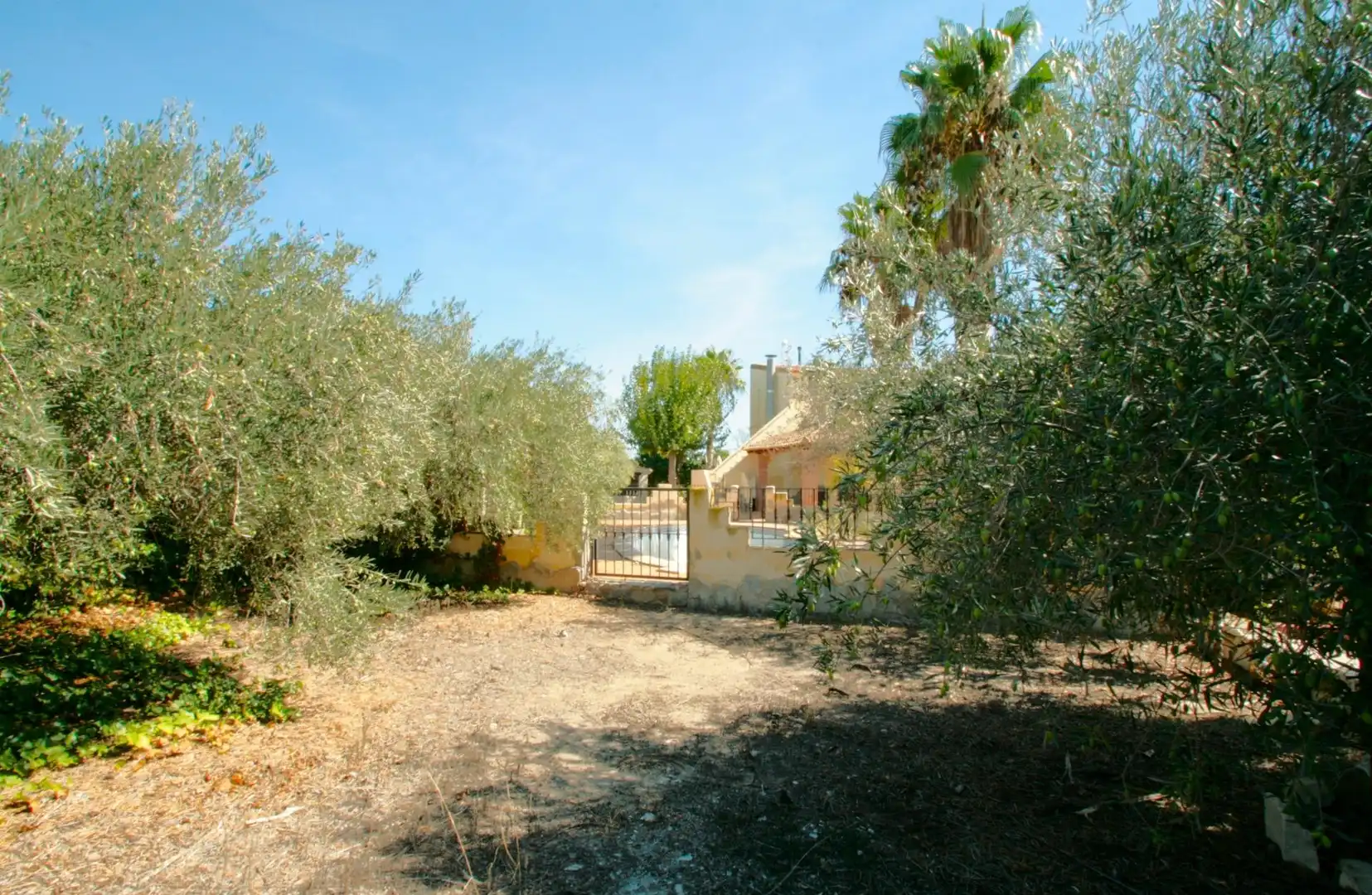 Casa o chalet en venta en Cantoria con Jardín privado, Terraza y Piscina