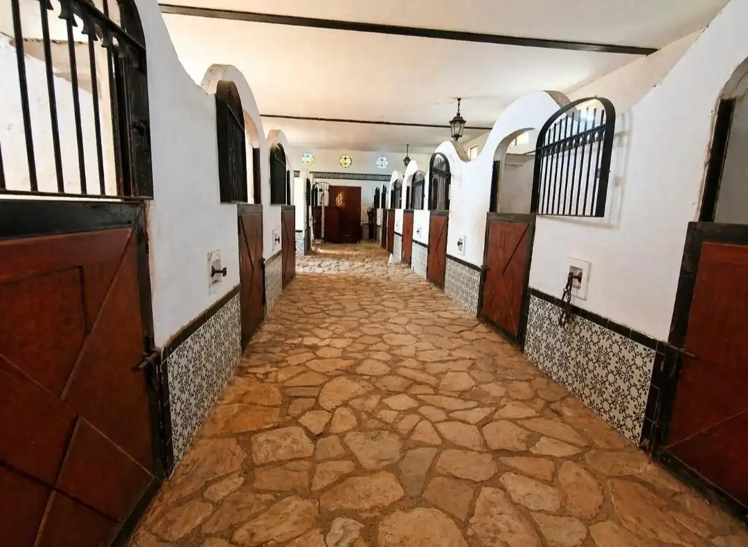 Villa à vendre à Novelda, imagen 39