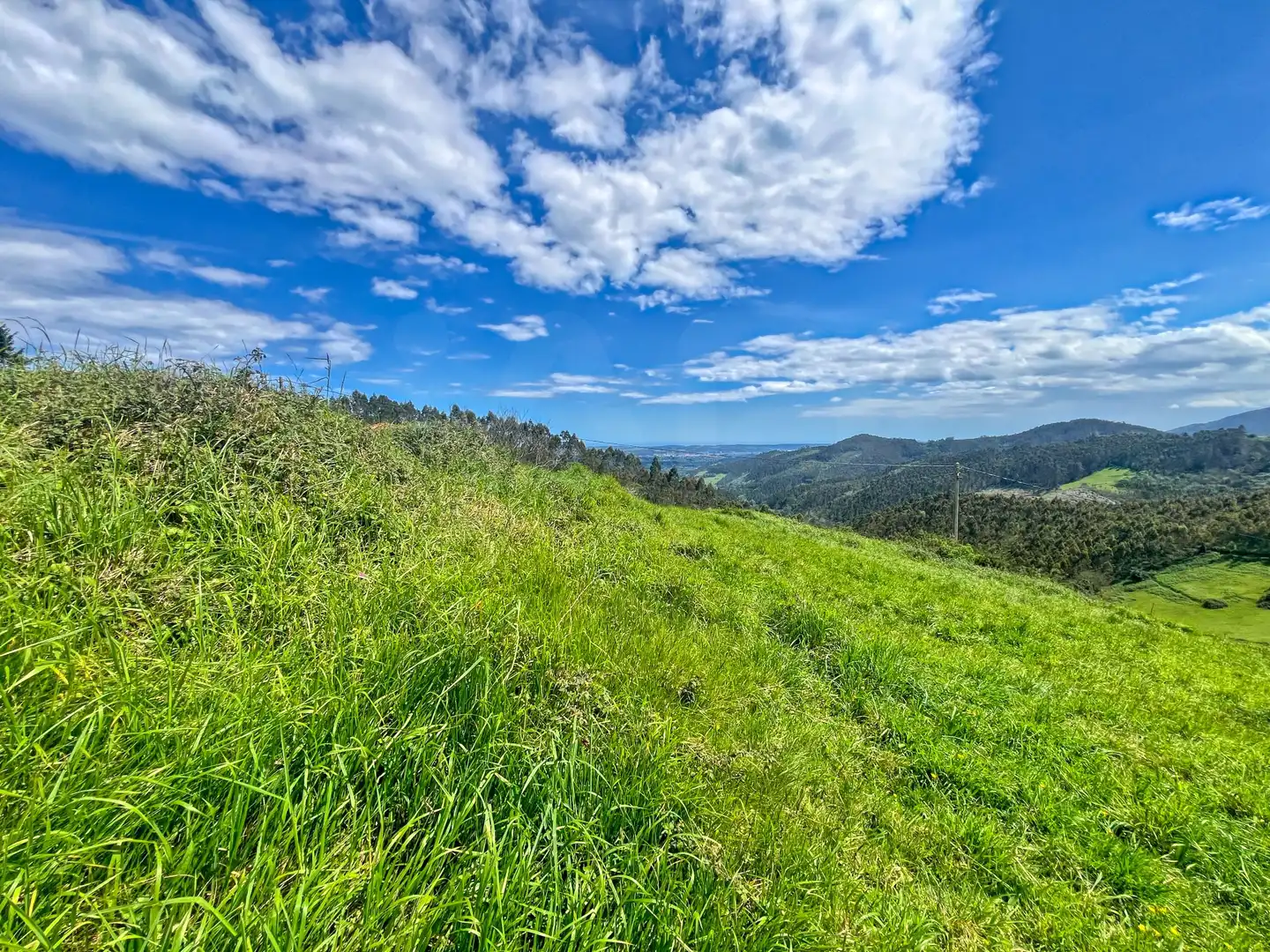 Lands and plots for sale in Pillarno, imagen 22