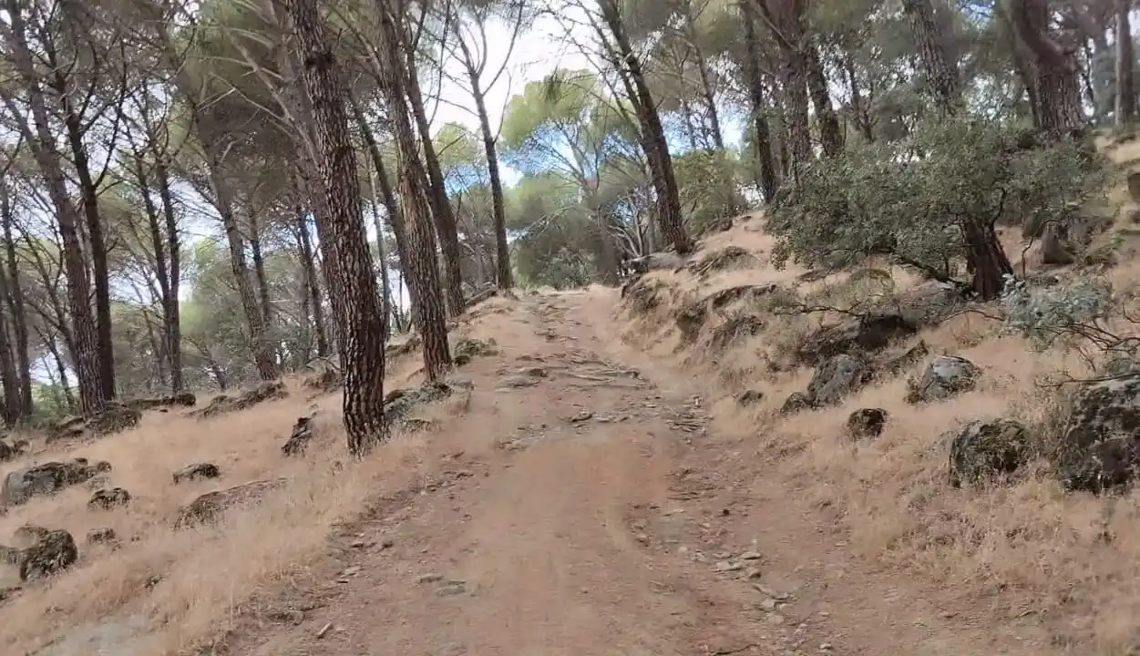 Terreni e lotti in vendita a La Adrada, imagen 7