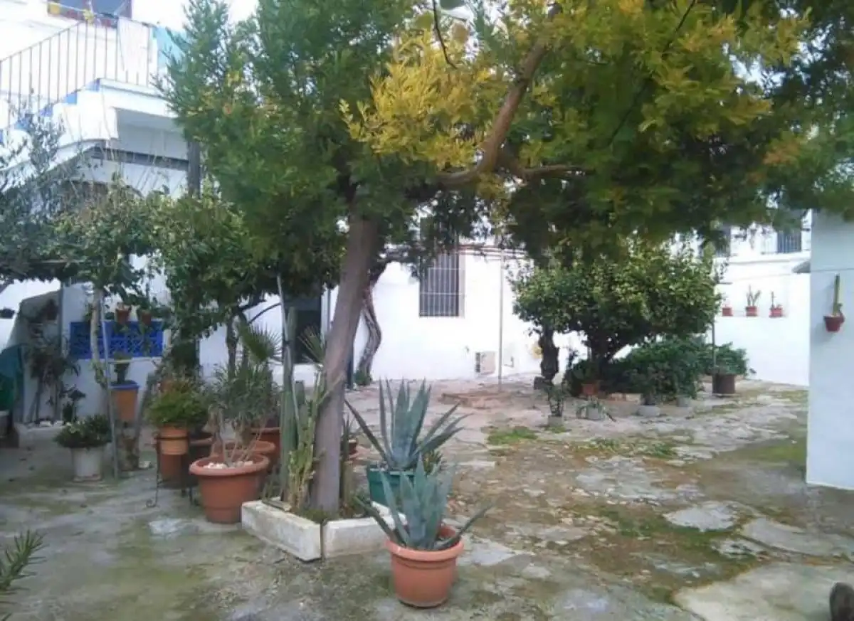 Garden of Flat for sale in Belmez  with Private garden, Terrace and Storage room