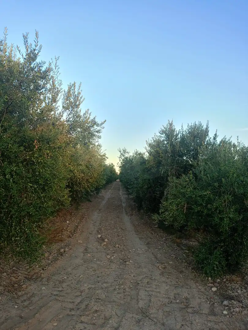 Residencial en venda en Lorca