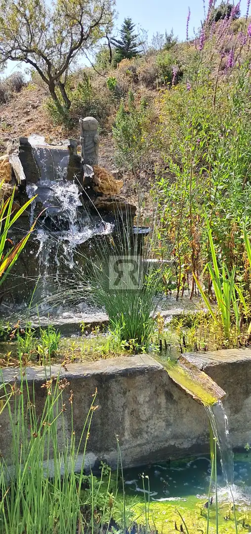 Jardín de Finca rústica en venta en L'Albiol con Calefacción, Jardín privado y Piscina
