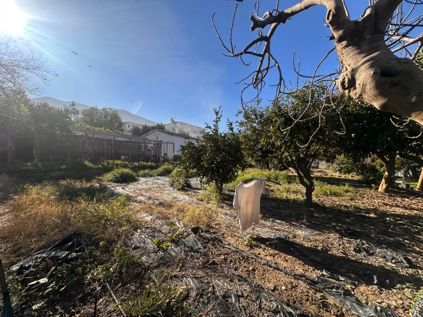 Casa o chalet en venta en Alhaurín El Grande con Jardín privado, Terraza y Piscina