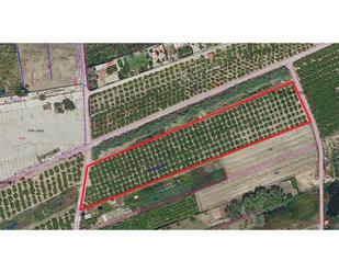 Land for sale in Xeresa