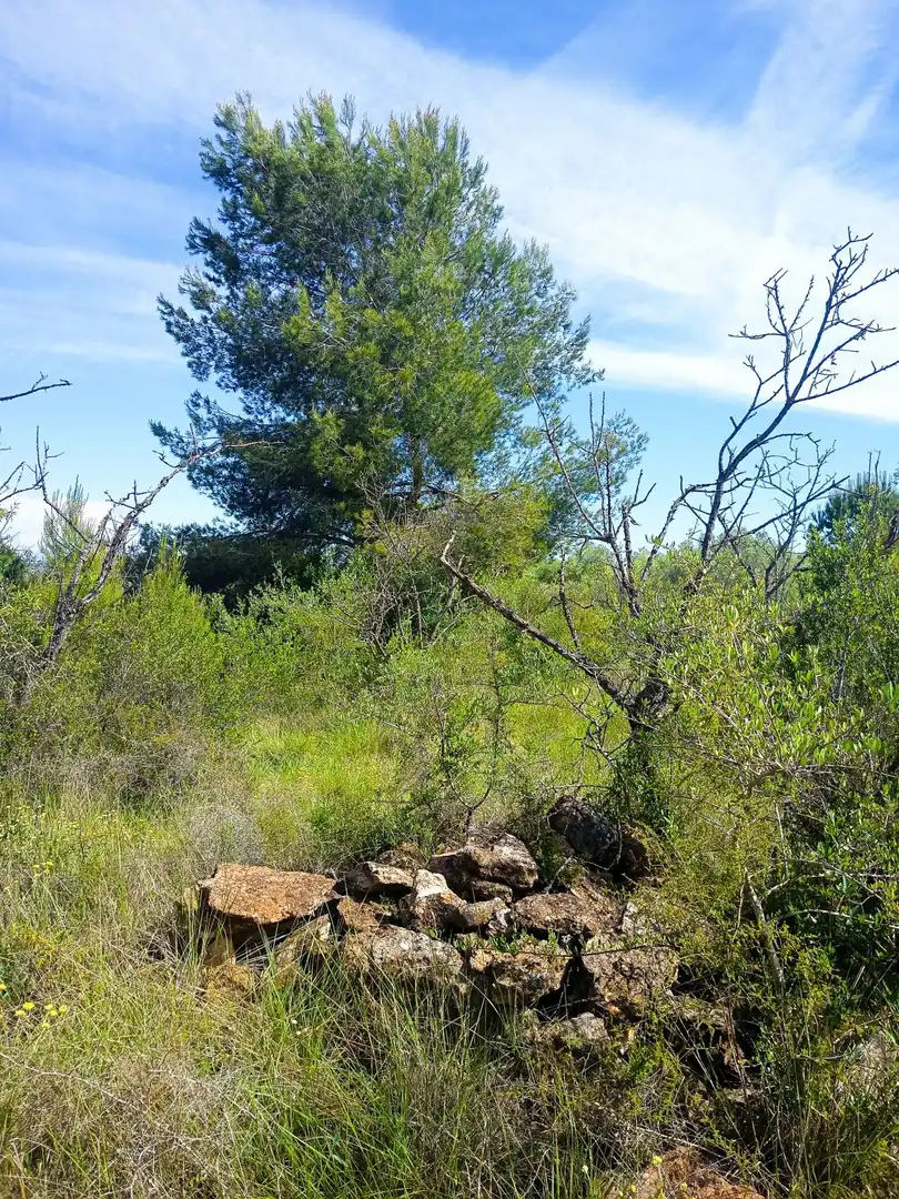 Maison rustique à vendre à Les Bassoles, imagen 2