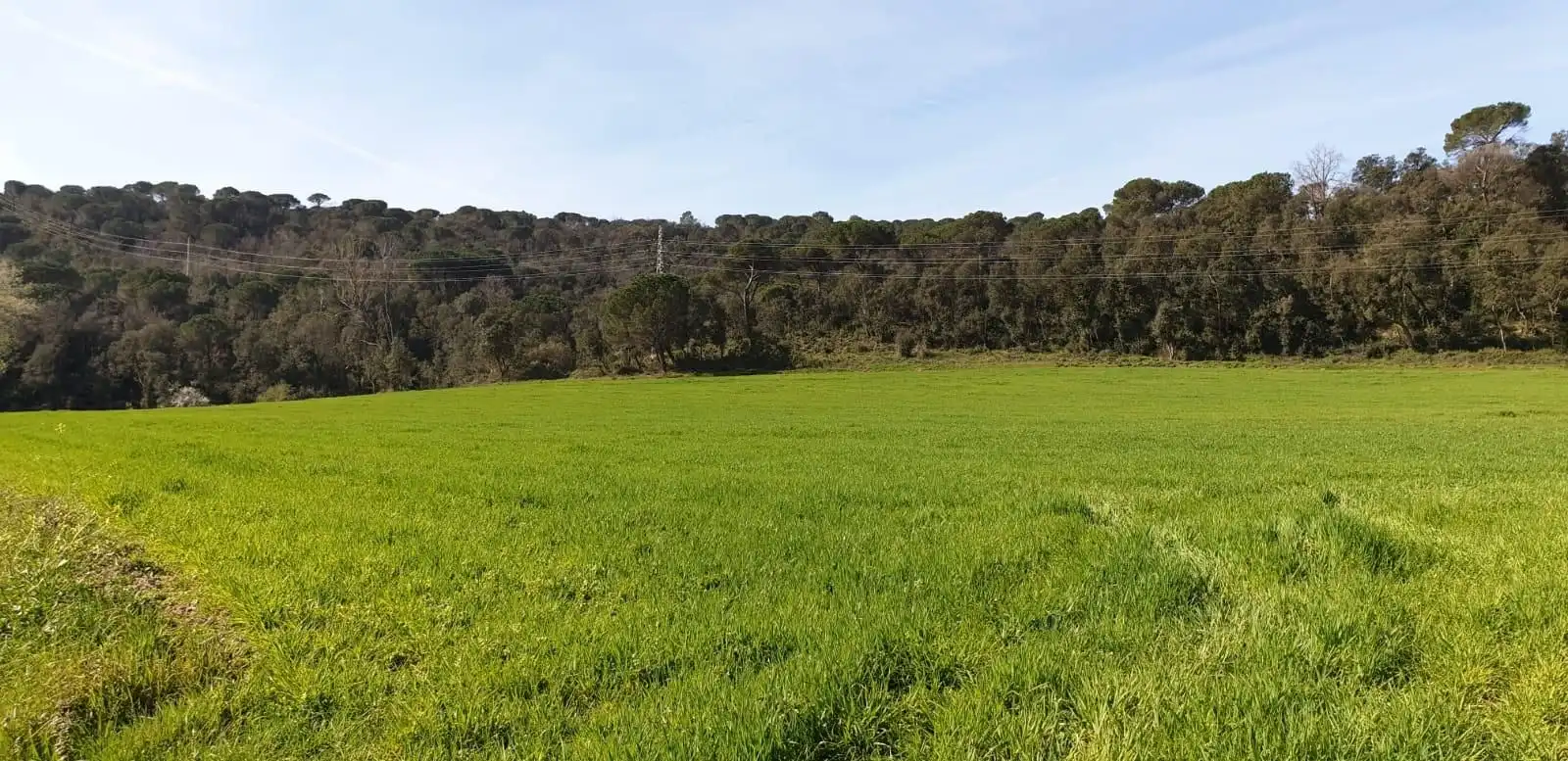 Finca rústica en venta en Sant Celoni