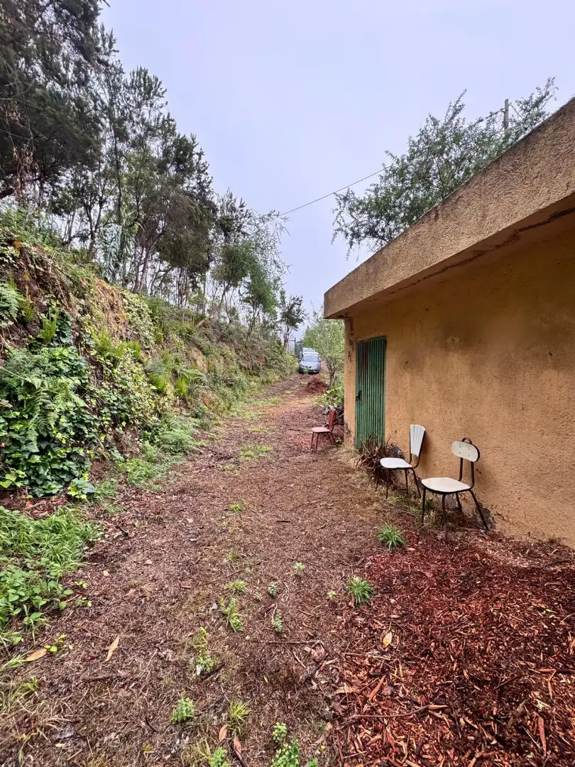 Finca rústica en venta en Los Realejos
