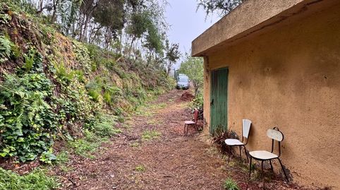 Foto 4 de Finca rústica en venta en Palo Blanco, Los Realejos