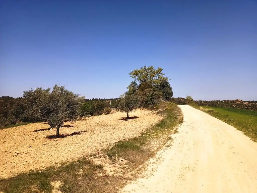 Terreni e lotti in vendita a Cretas, imagen 5