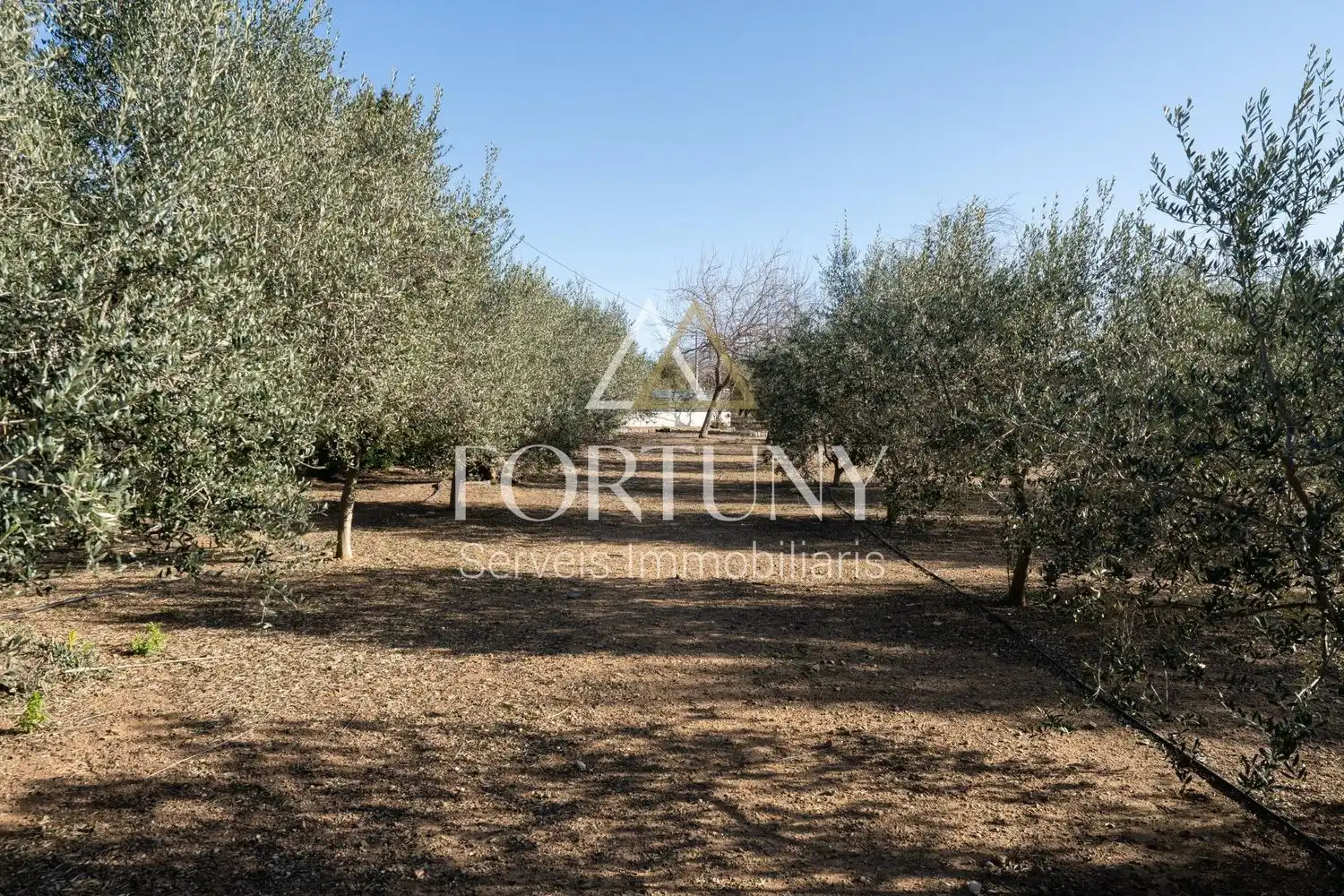 House with pool for sale in Partida el Roquis, imagen 57