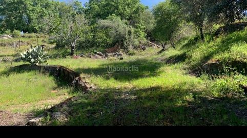 Finca rustica, imatge 4