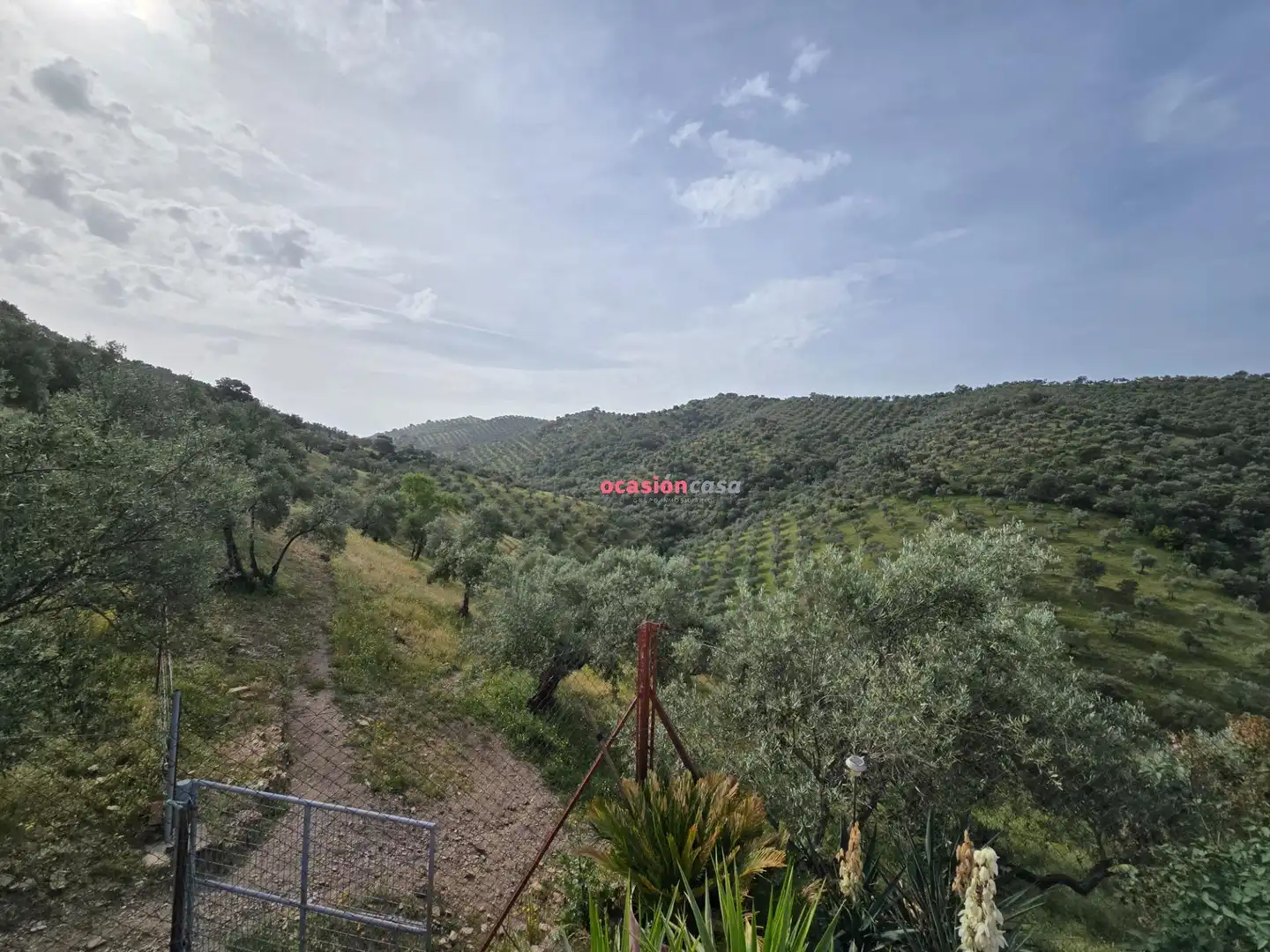 Finca rústica en venta en Pozoblanco
