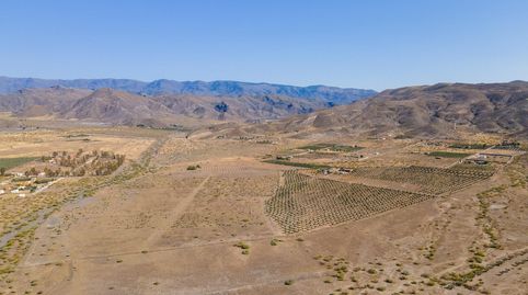 Finca de 18 Hectáreas en Tabernas, immagine 4