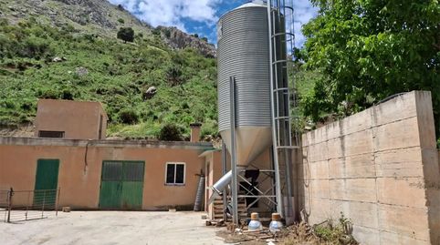 Foto 4 de Finca rústica en venda a Calle Federico Garcia Lorca, 8, Alfarnate, Málaga