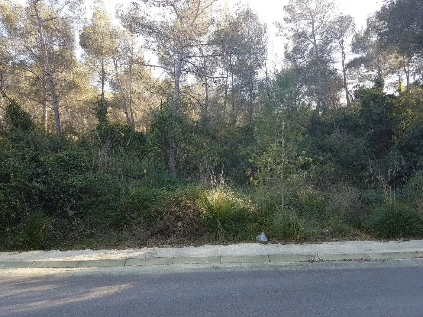 Terreno residenziale in vendita a Carrer el Fonoll 14, imagen 2