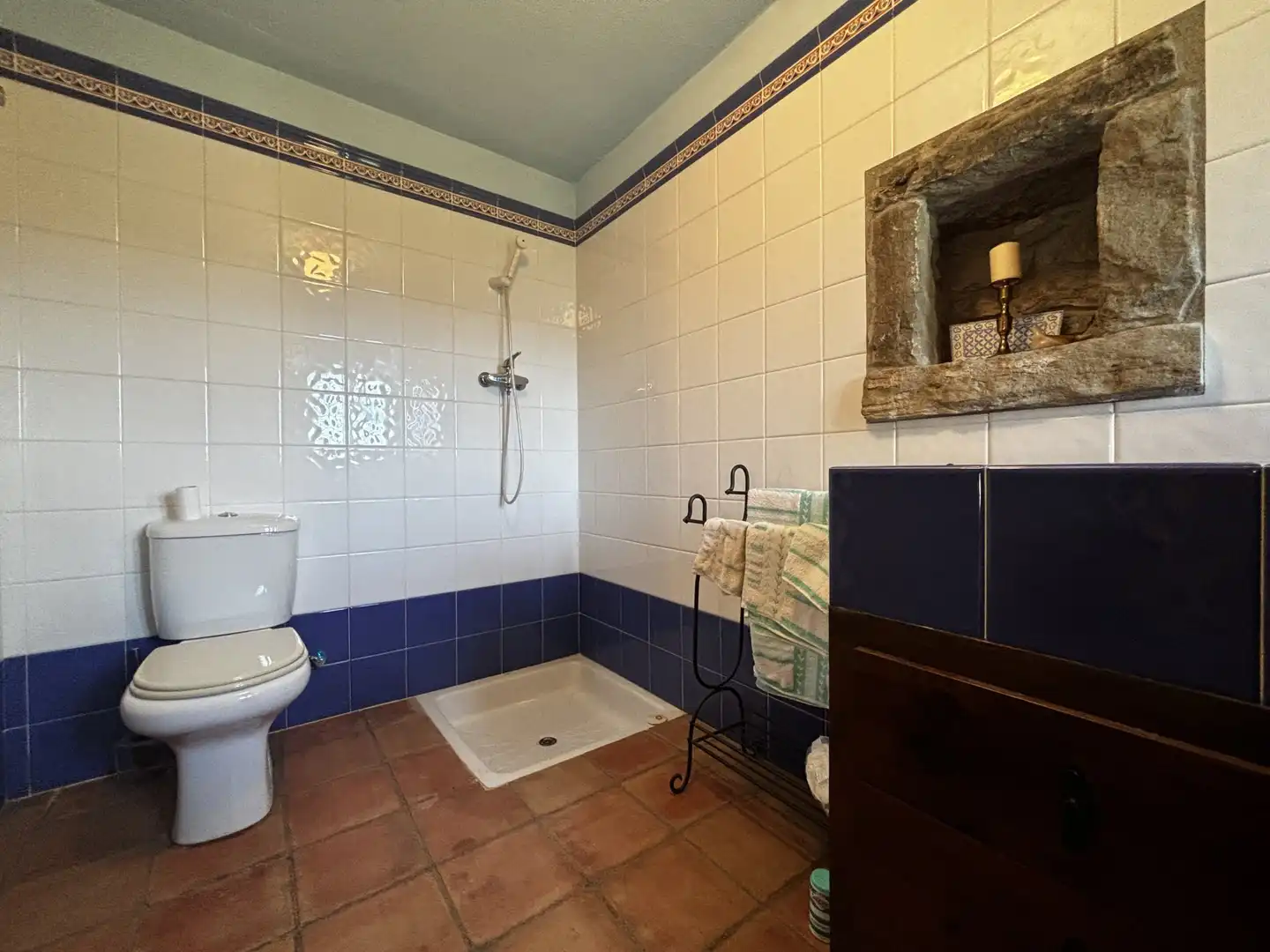 Bathroom of Country homes for sale in Sant Aniol de Finestres  with Terrace and Swimming Pool