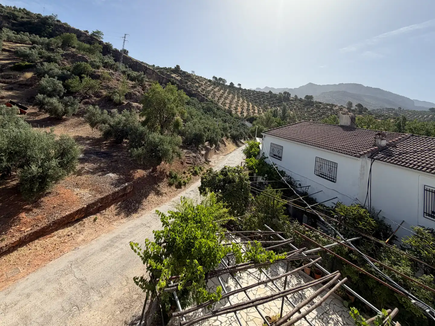 Exterior view of Houses for sale in Villacarrillo  with Private garden and Terrace