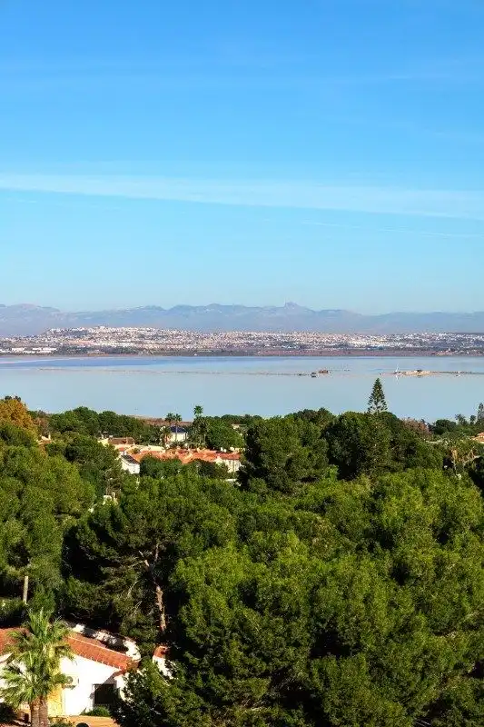 Chalet con piscina en venta en Los Balcones - Los Altos, imagen 22