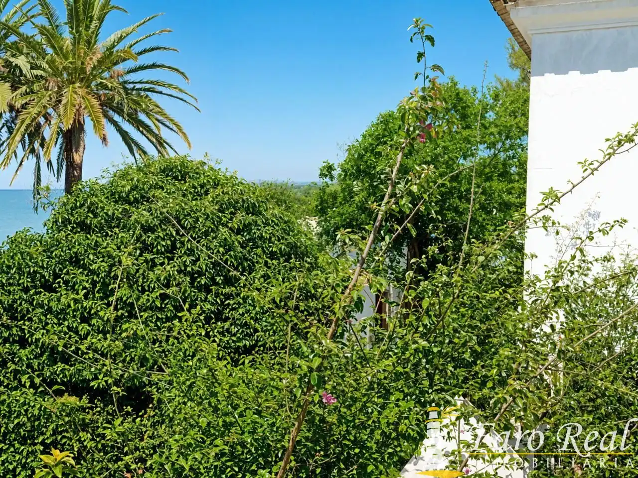 Casa amb jardí en venda a La Jara, imagen 16