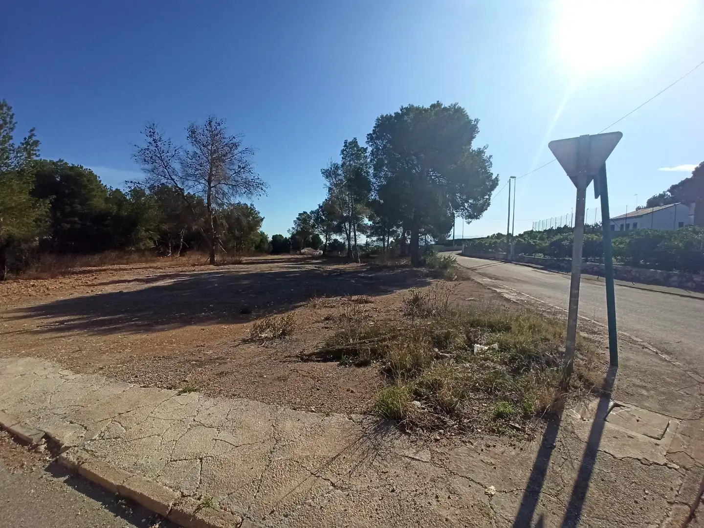 Terreno residencial en venta en Alberic, imagen 2