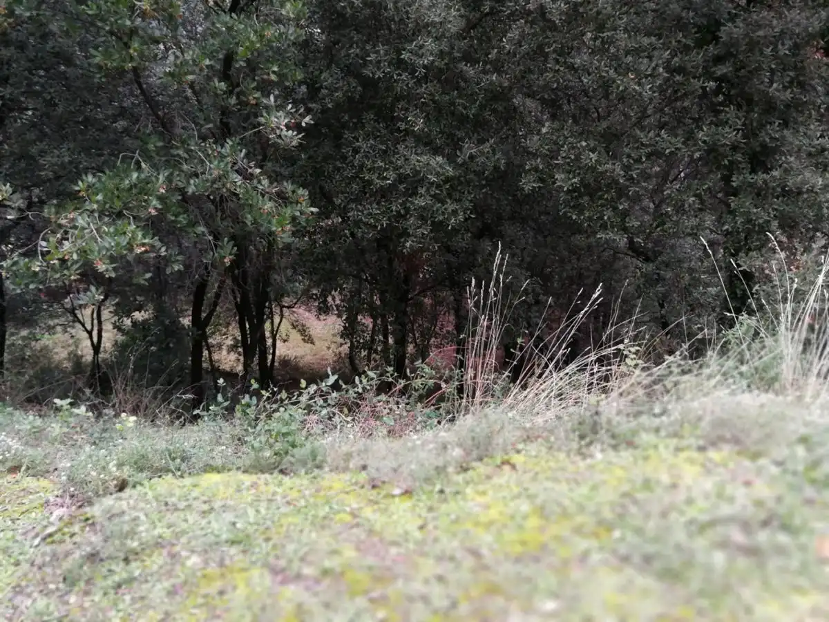 Residential land for sale in Bigues i Riells del Fai