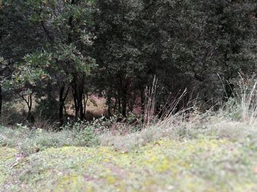 Residential land for sale in Bigues i Riells del Fai
