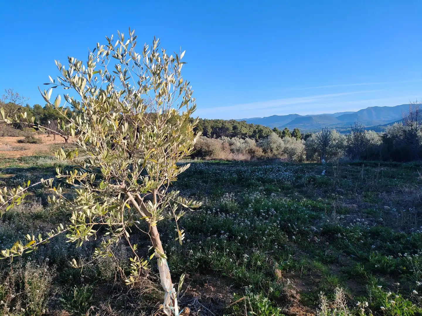 Terreni e lotti in vendita a La Fresneda, imagen 10