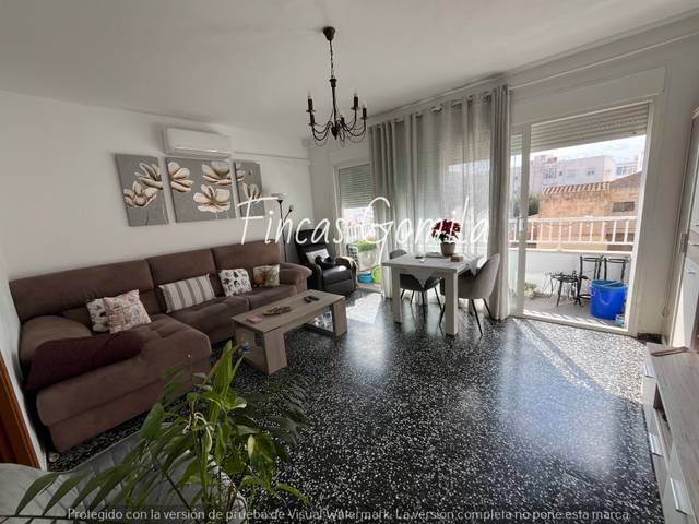 Piso en Venta en campament en Molí des Pla - Andrea Doria