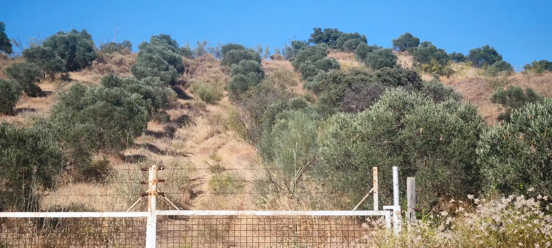 Terreni e lotti in vendita a Álora, imagen 14