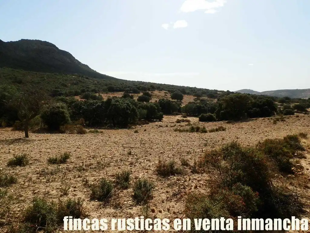 Terreni e lotti in vendita a Peñalsordo, imagen 15