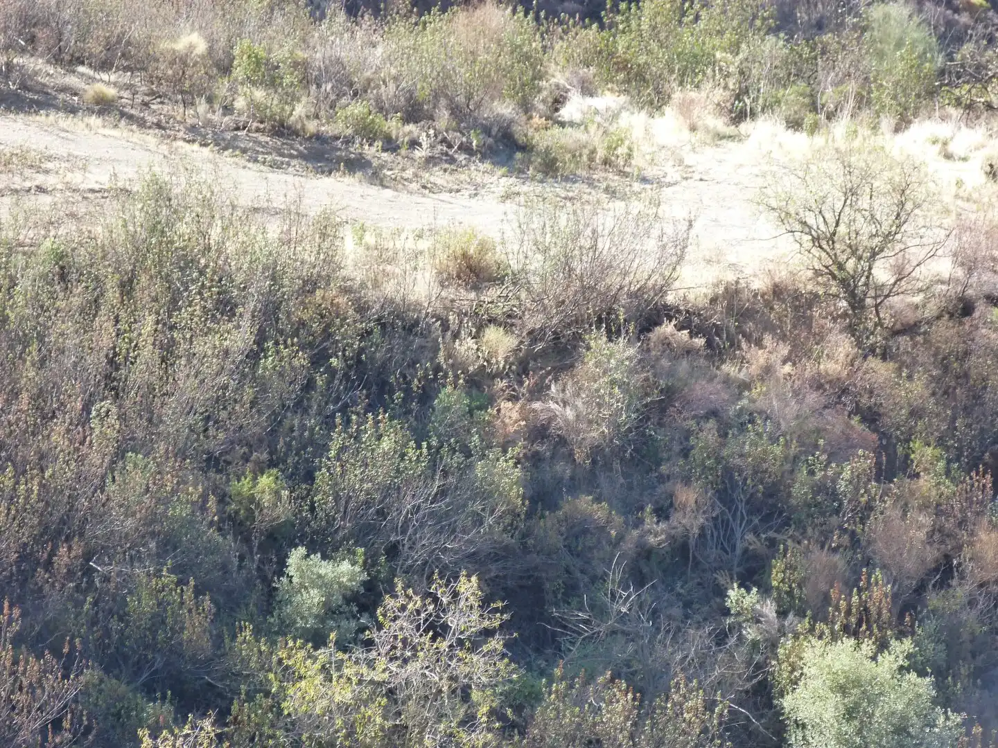 Terreni e lotti in vendita a Ítrabo, imagen 8