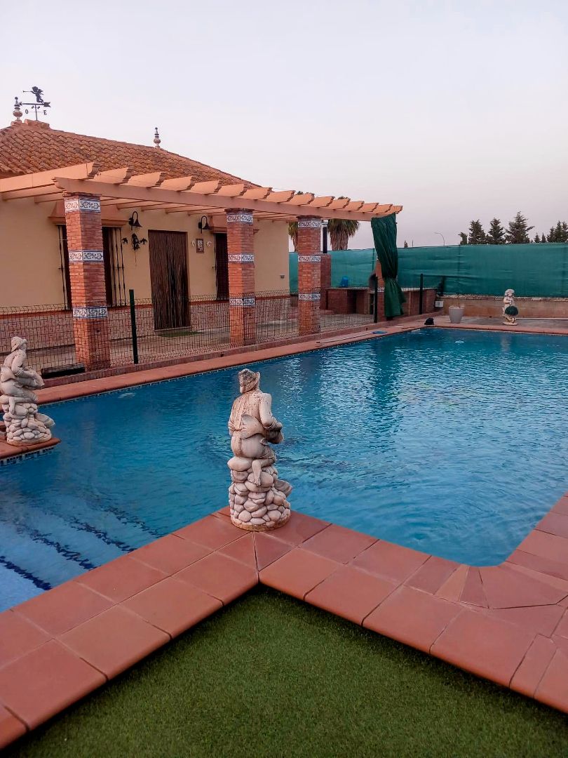 Piscina de Casa o xalet en venda en Mairena del Alcor amb Aire condicionat, Jardí privat i Piscina