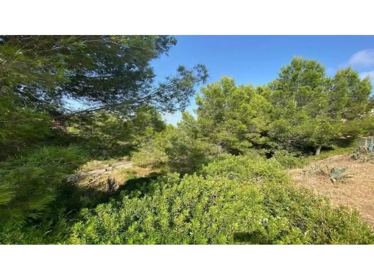 Terreny rústic en venda a Calle  REPUBLICA ARGENTINA 2    MONT-ROIG DEL CAMP TARRA, imagen 7