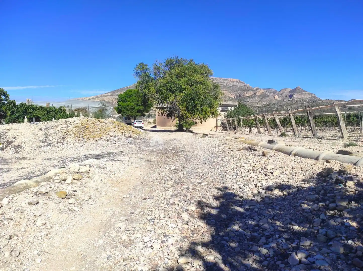 Vista exterior de Finca rústica en venda en Monforte del Cid