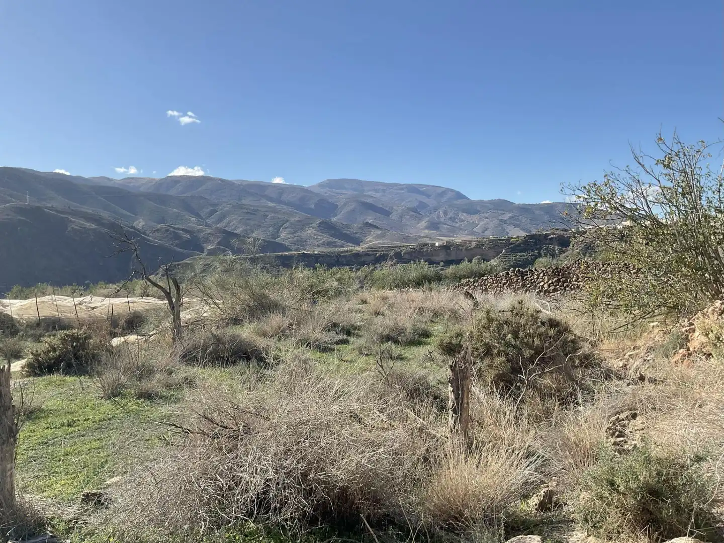 Land for sale in Padules